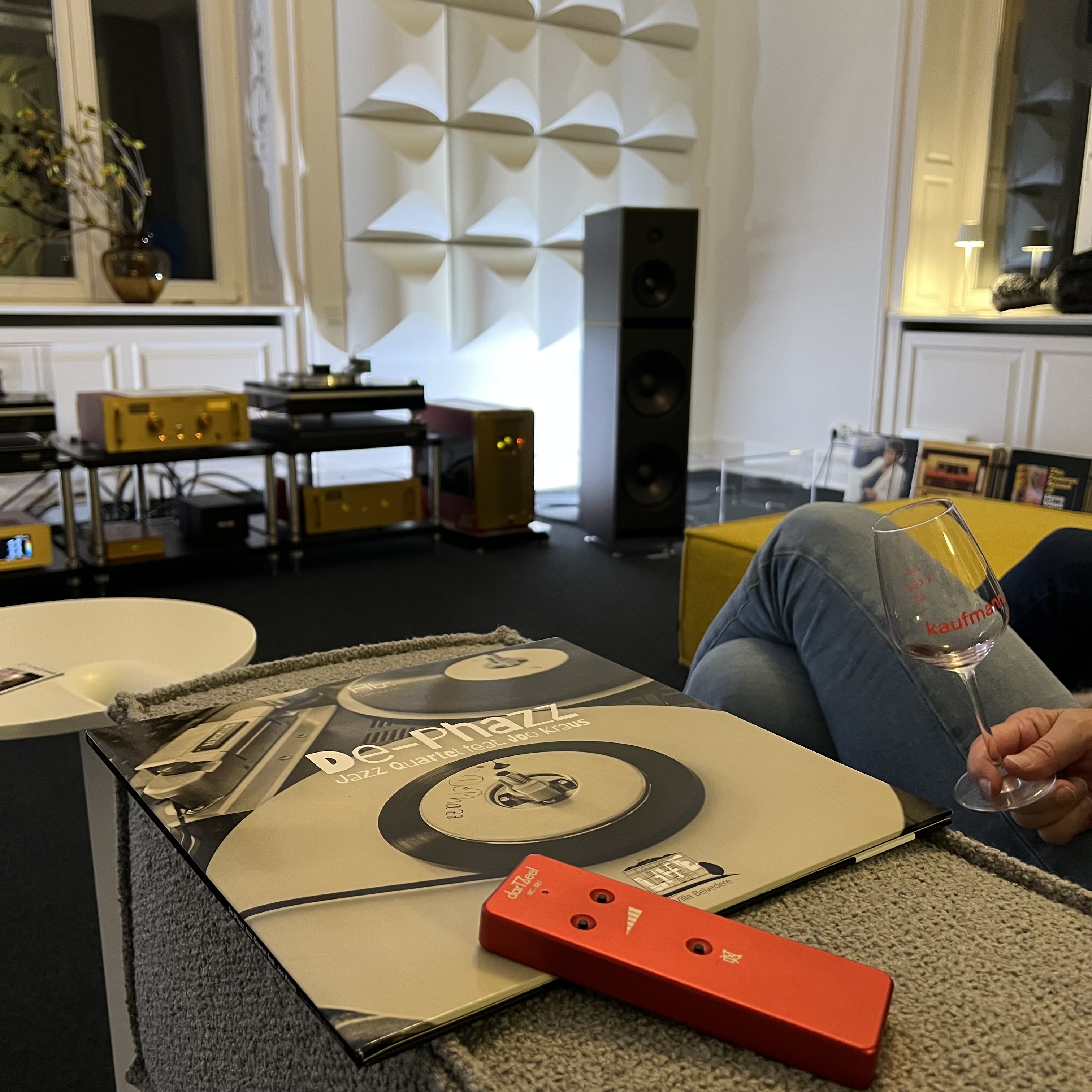 Eltville: Wine & Vinyl Abend in der Villa Belvedere